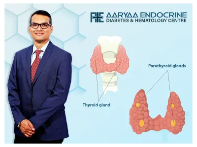 Difference Between Thyroid and Parathyroid Glands